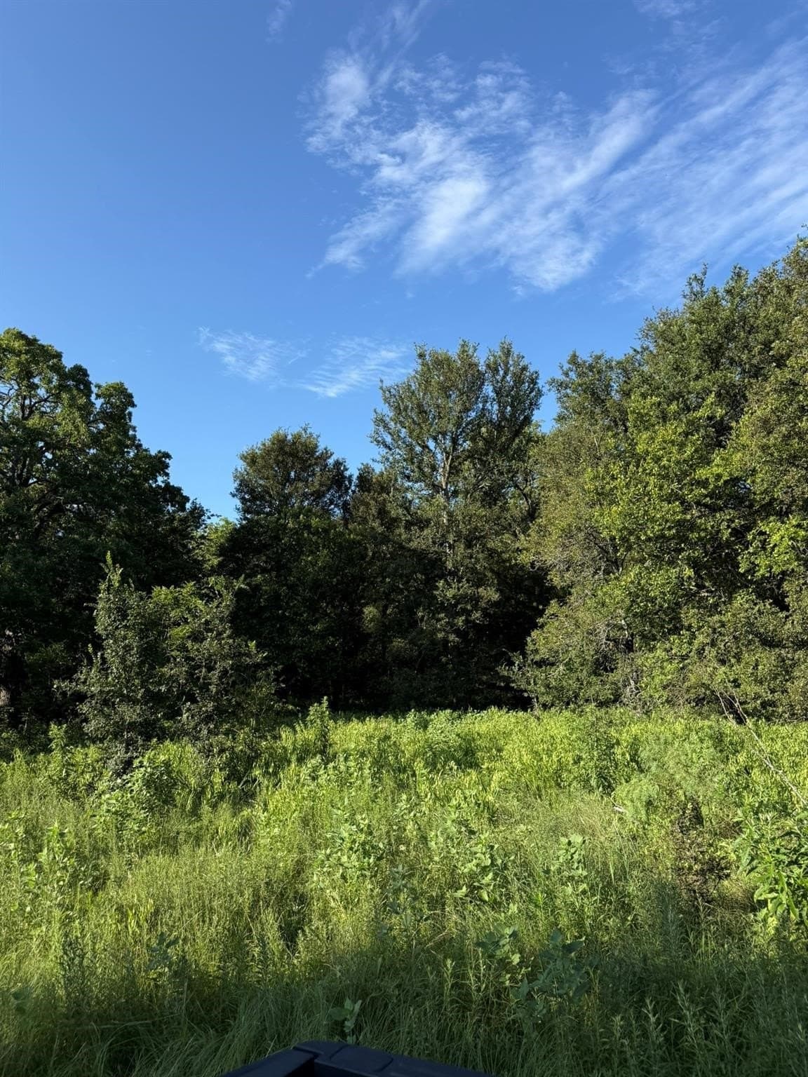 23.56 acres in Montague County - photo 22