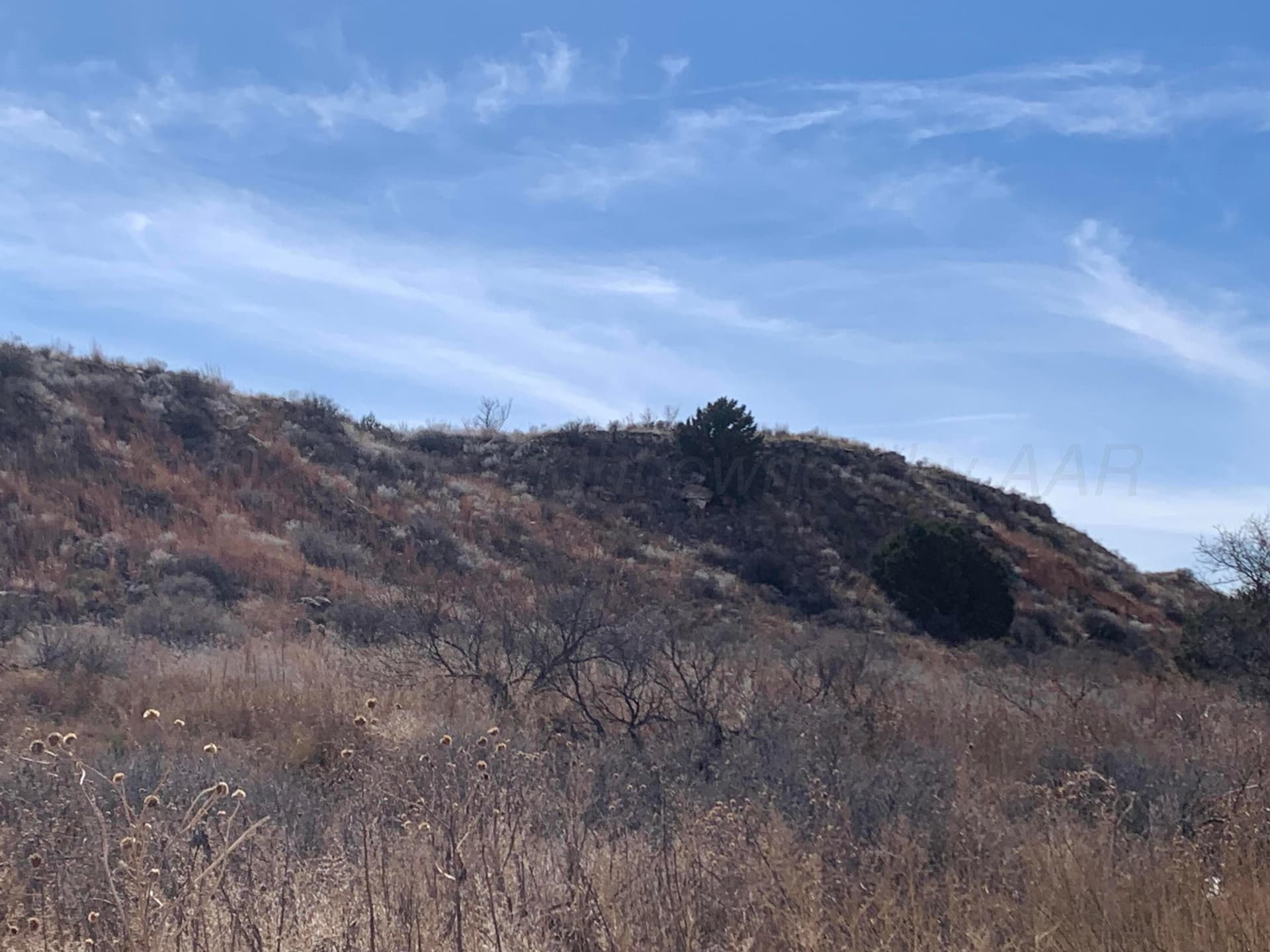 19.12 acres in Potter County - photo 10
