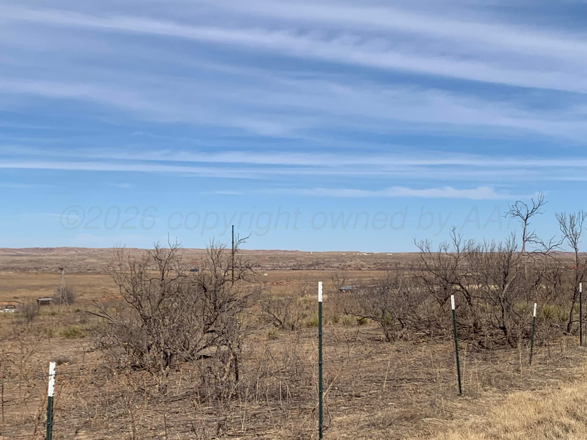 19.12 acres in Potter County gallery image 4