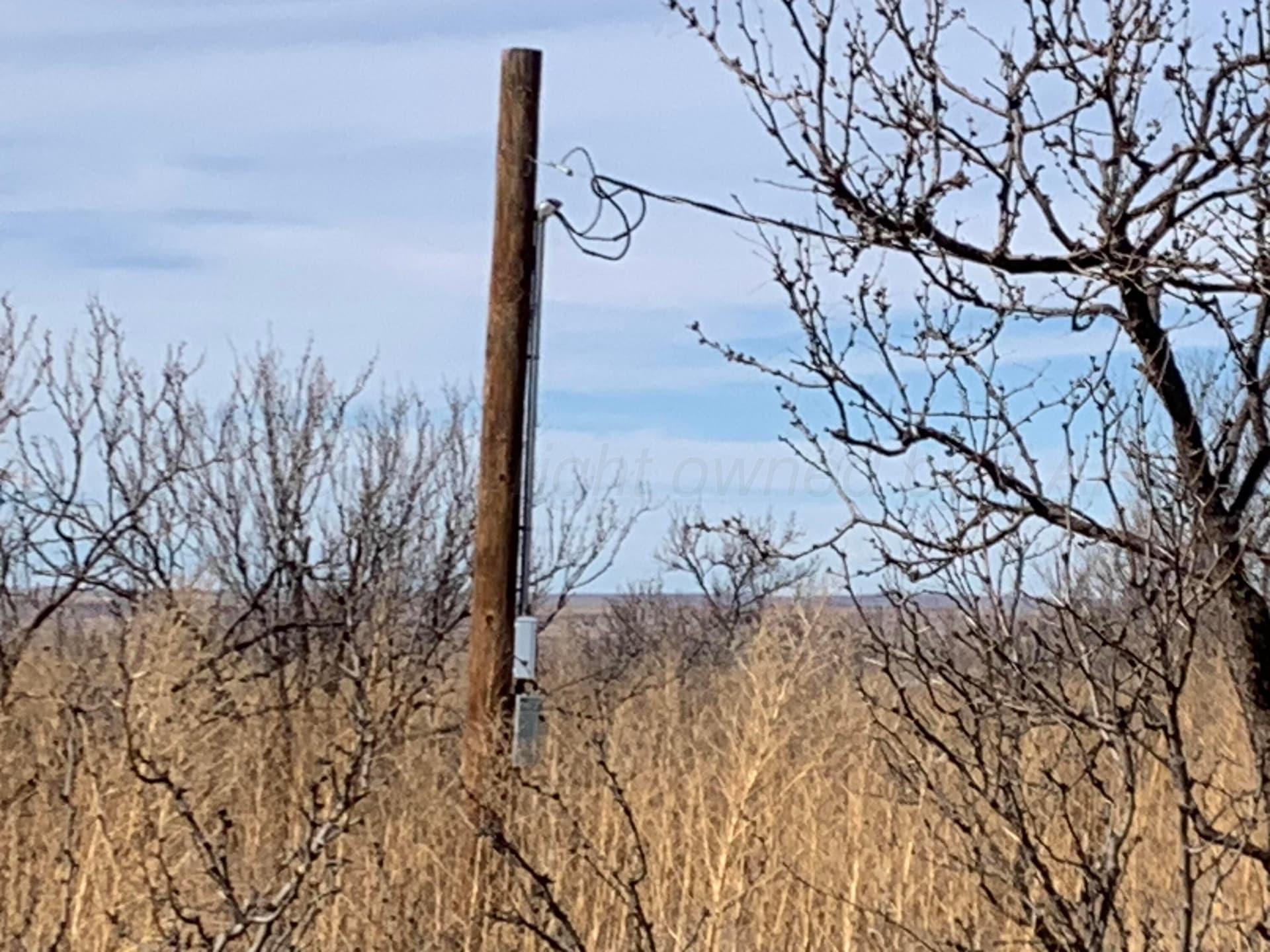 19.12 acres in Potter County gallery image 3