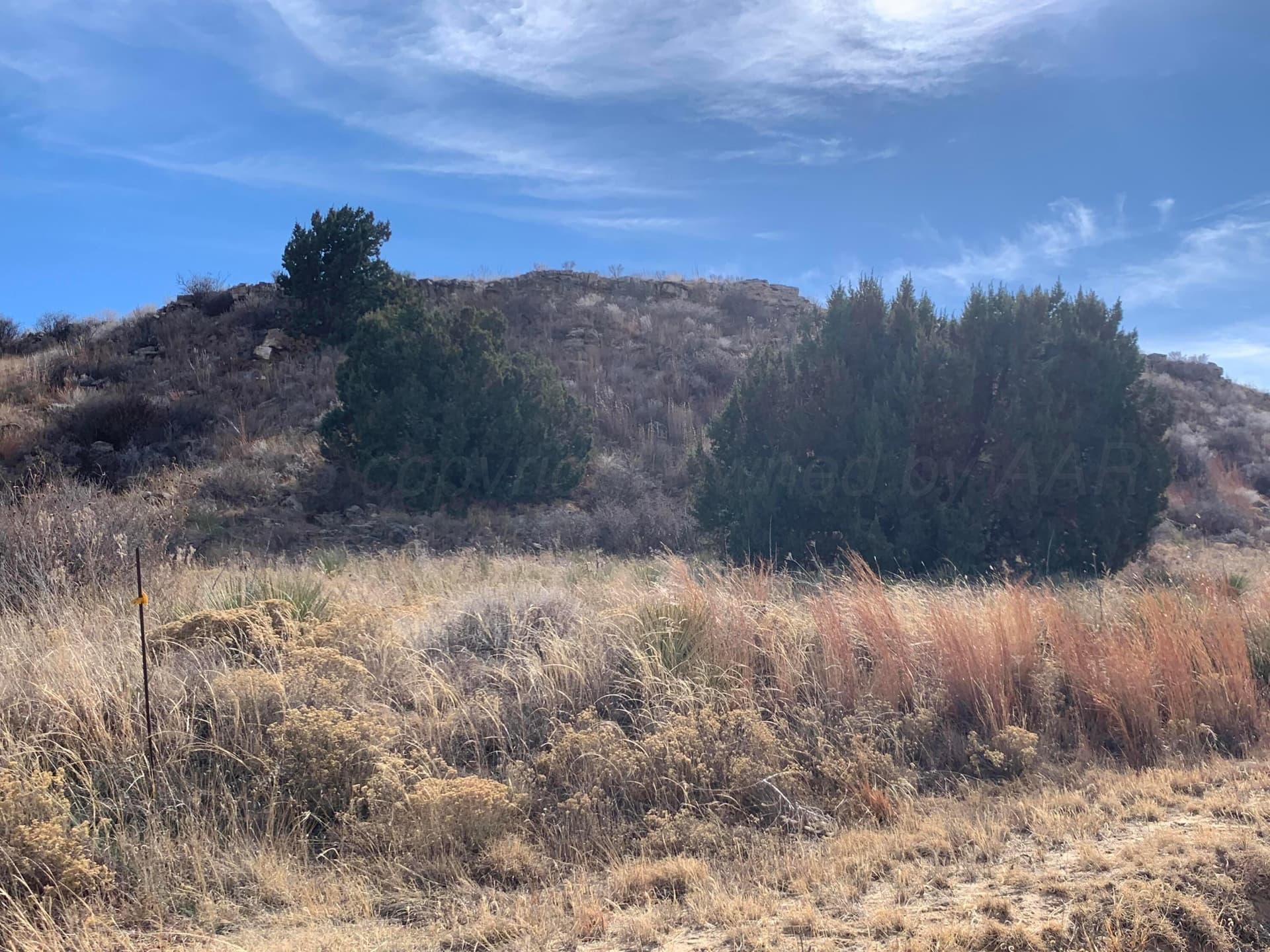 19.12 acres in Potter County - photo 9