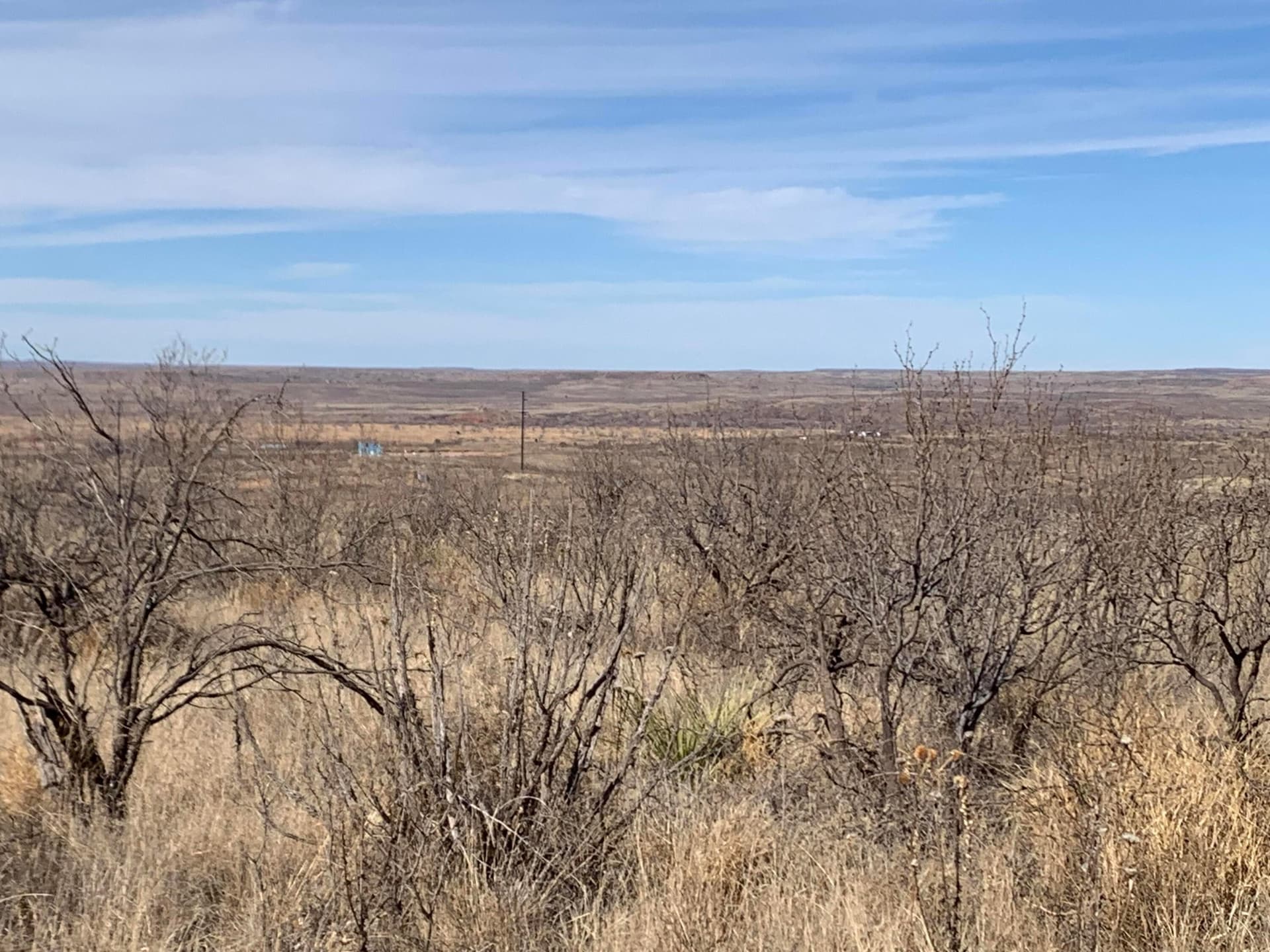 19.12 acres in Potter County featured view