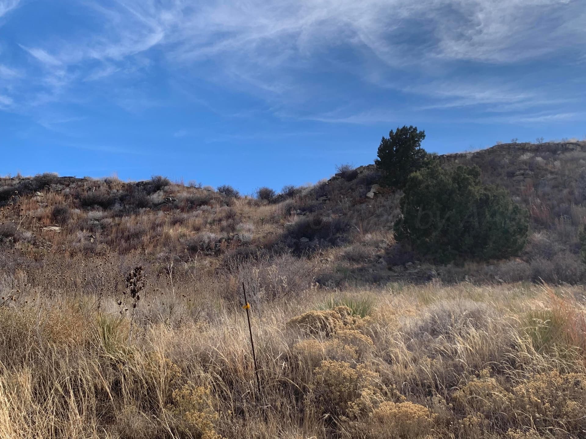 19.12 acres in Potter County - photo 8
