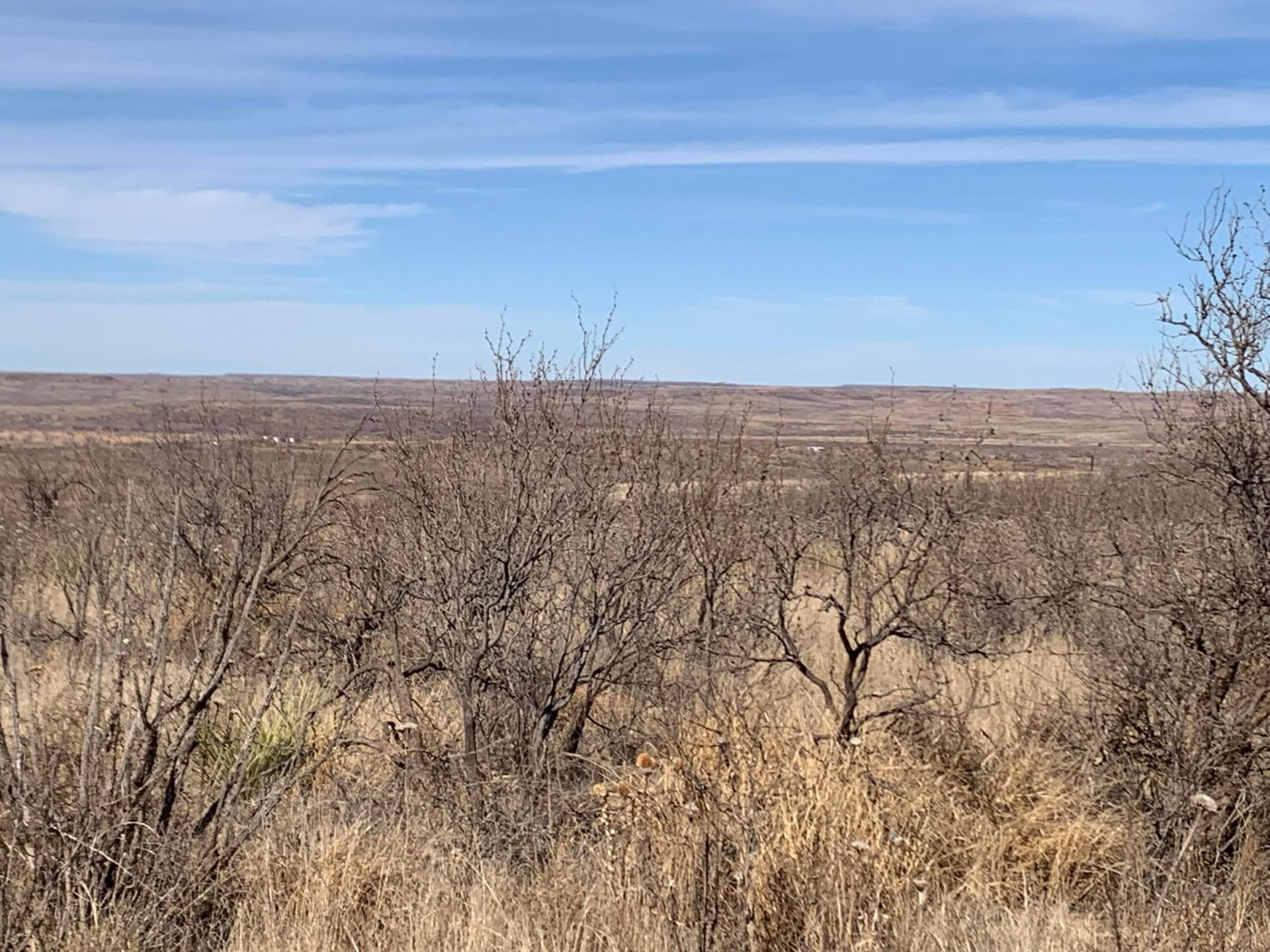19.12 acres in Potter County
