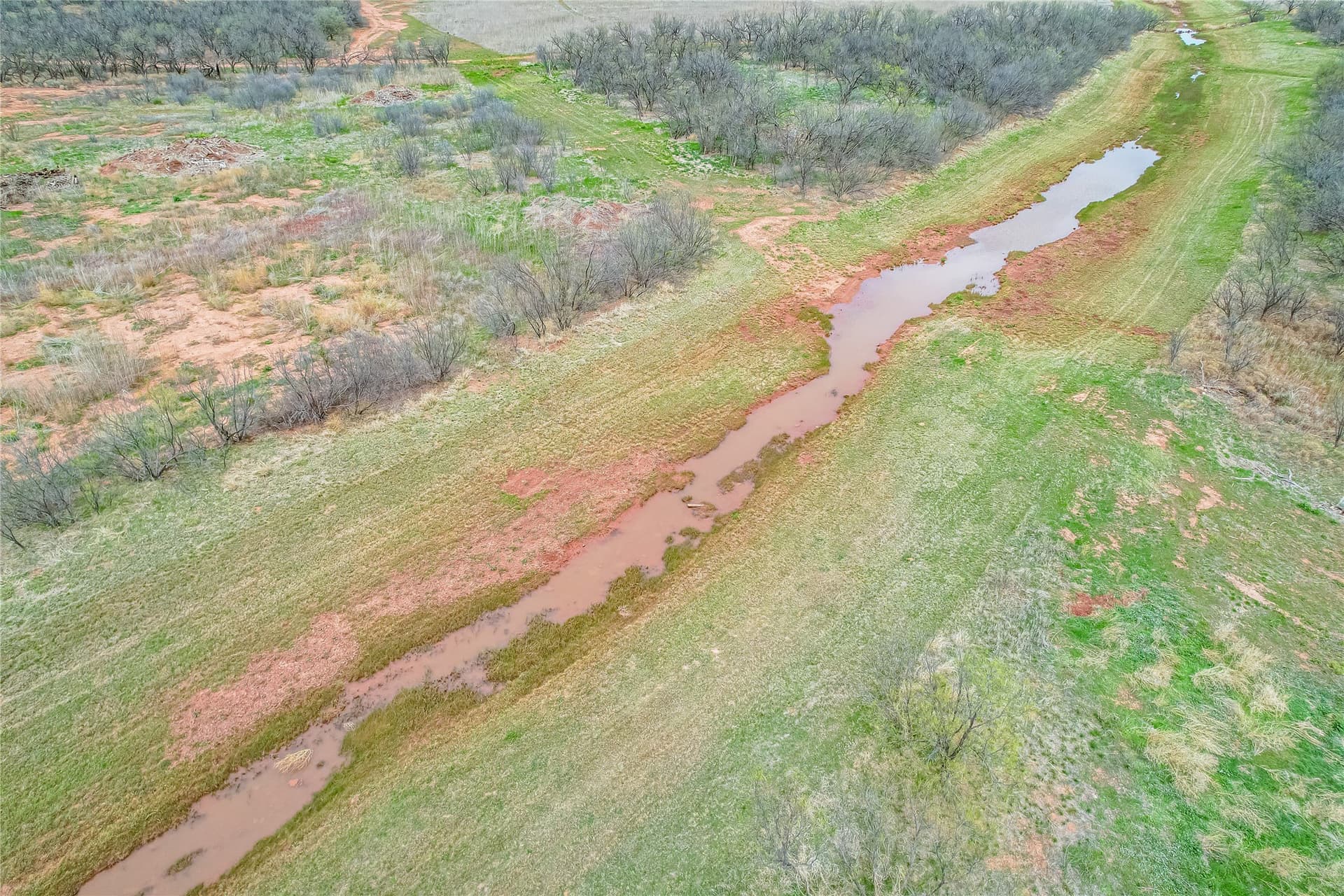 10 acres in Taylor County - photo 6