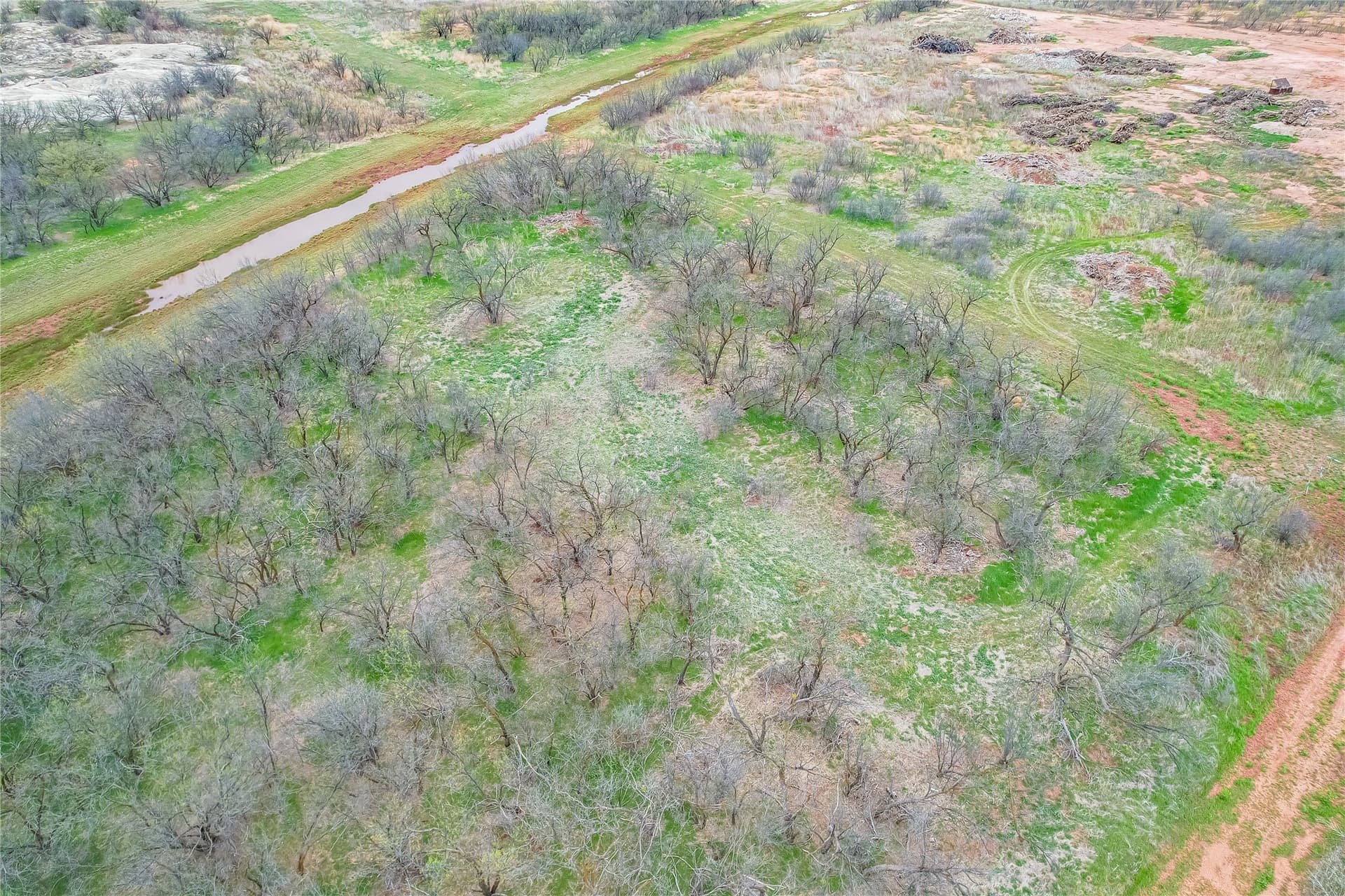 10 acres in Taylor County - photo 8