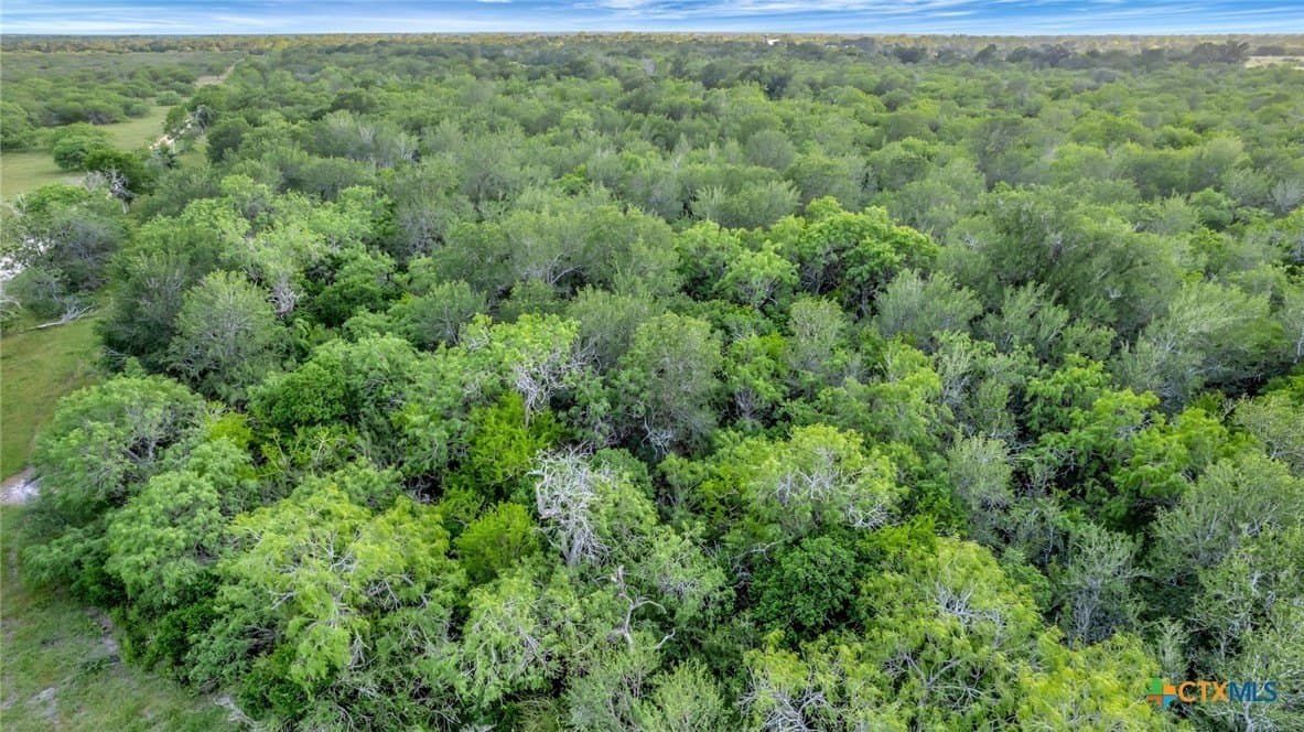 87.56 acres in Victoria County - photo 44