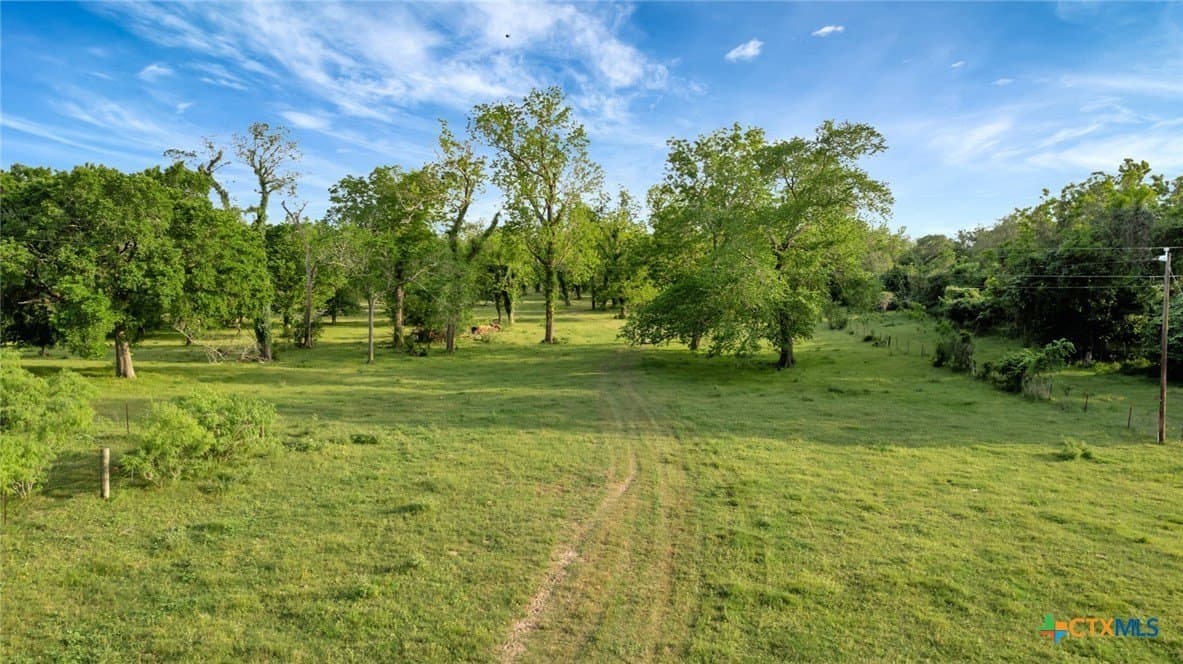 87.56 acres in Victoria County - photo 24