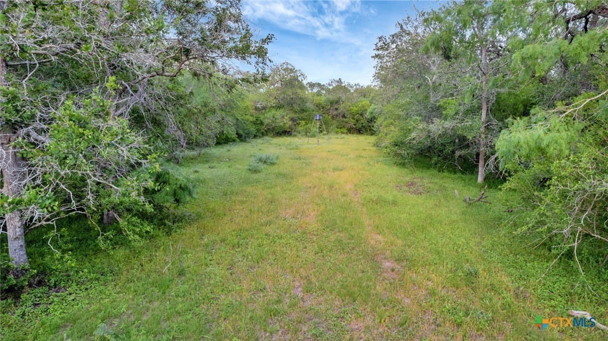 87.56 acres in Victoria County - photo 31