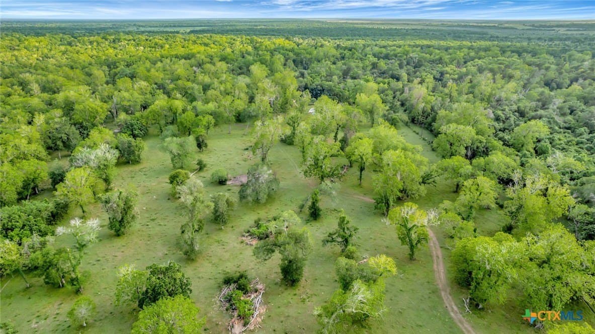 87.56 acres in Victoria County - photo 21
