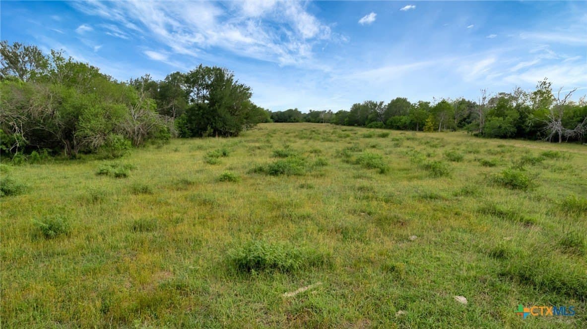 87.56 acres in Victoria County - photo 34