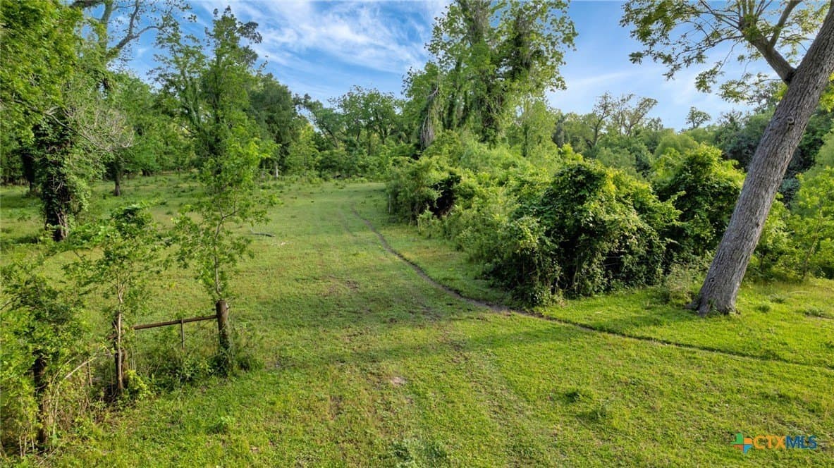 87.56 acres in Victoria County - photo 14