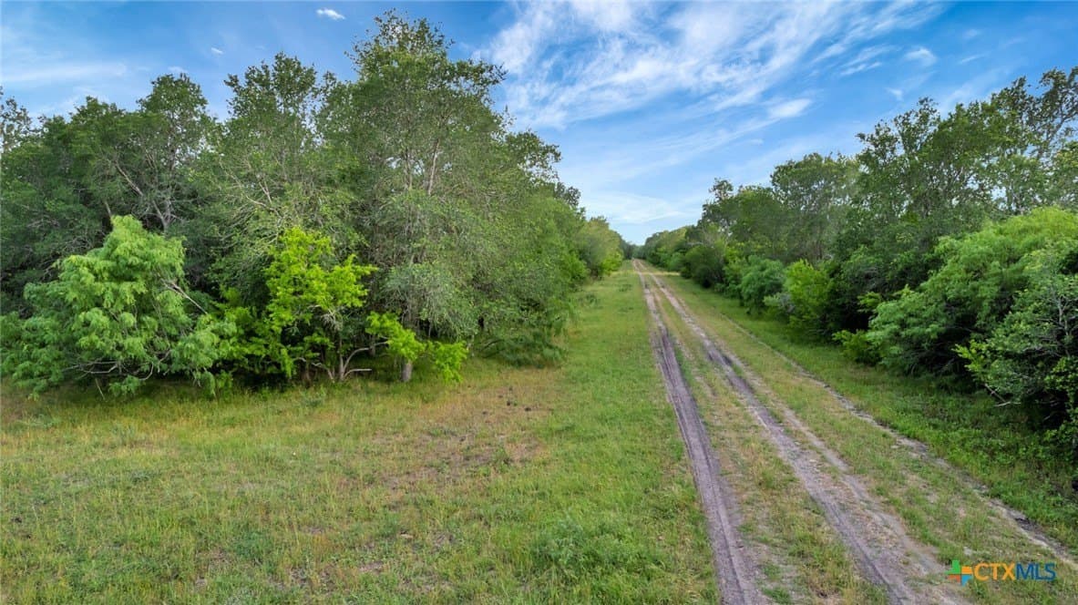 87.56 acres in Victoria County - photo 28