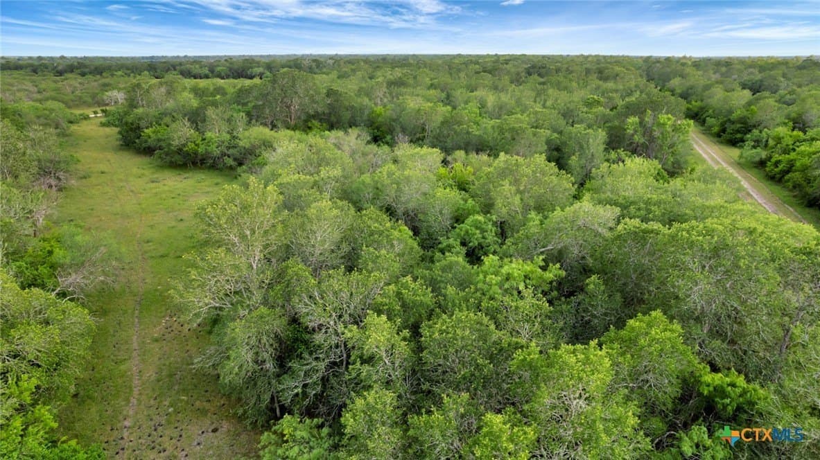 87.56 acres in Victoria County - photo 29
