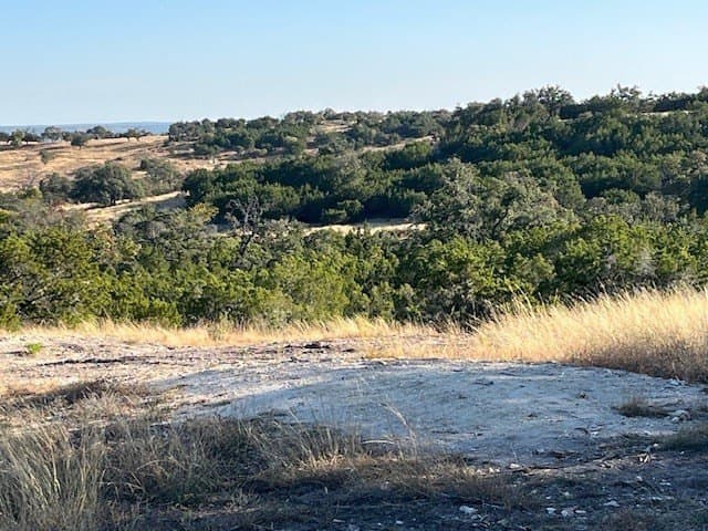 10.02 acres in Gillespie County - photo 6
