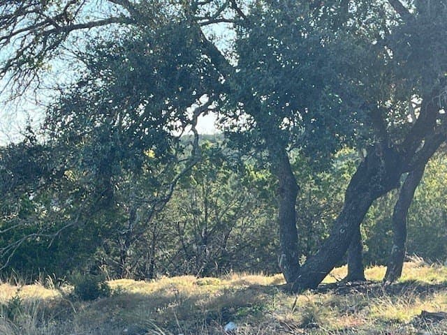 10.02 acres in Gillespie County - photo 7