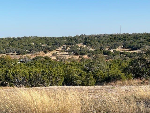 10.02 acres in Gillespie County gallery image 3