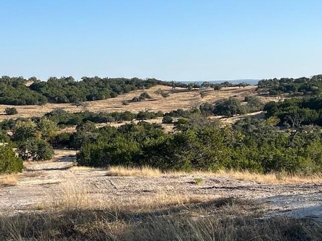 10.02 acres in Gillespie County gallery image 2