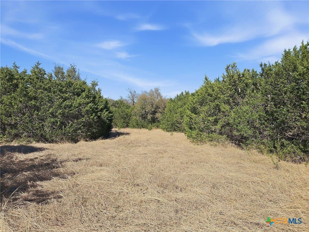 48.42 acres in Coryell County - photo 30