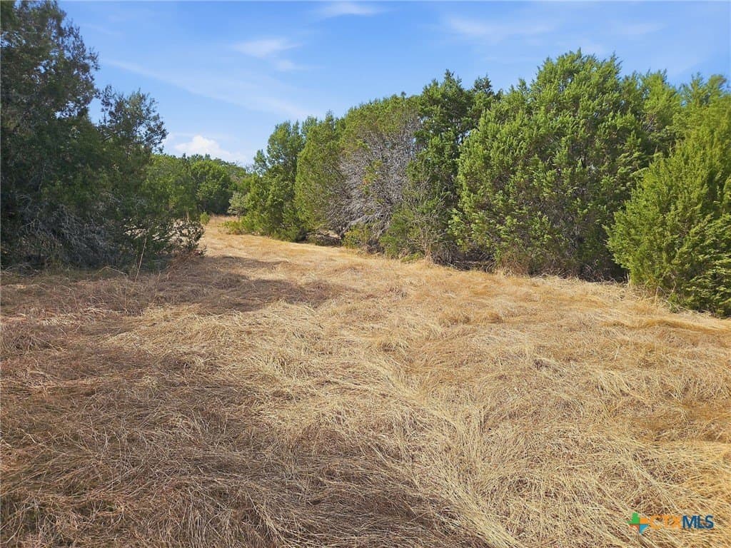 48.42 acres in Coryell County - photo 24