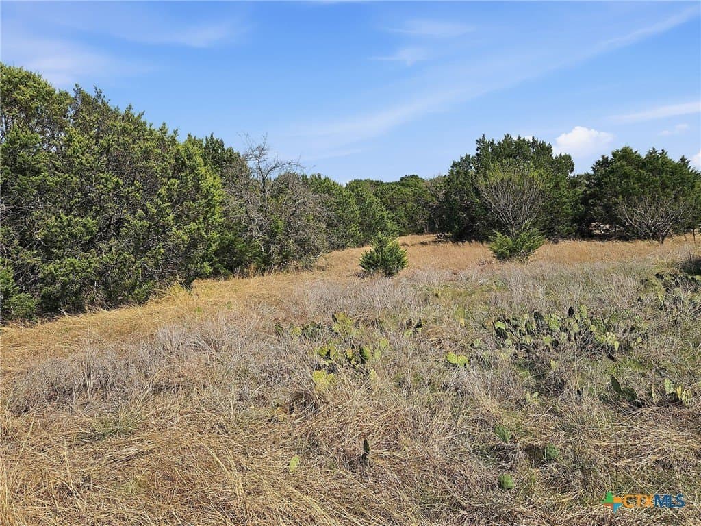 48.42 acres in Coryell County - photo 29