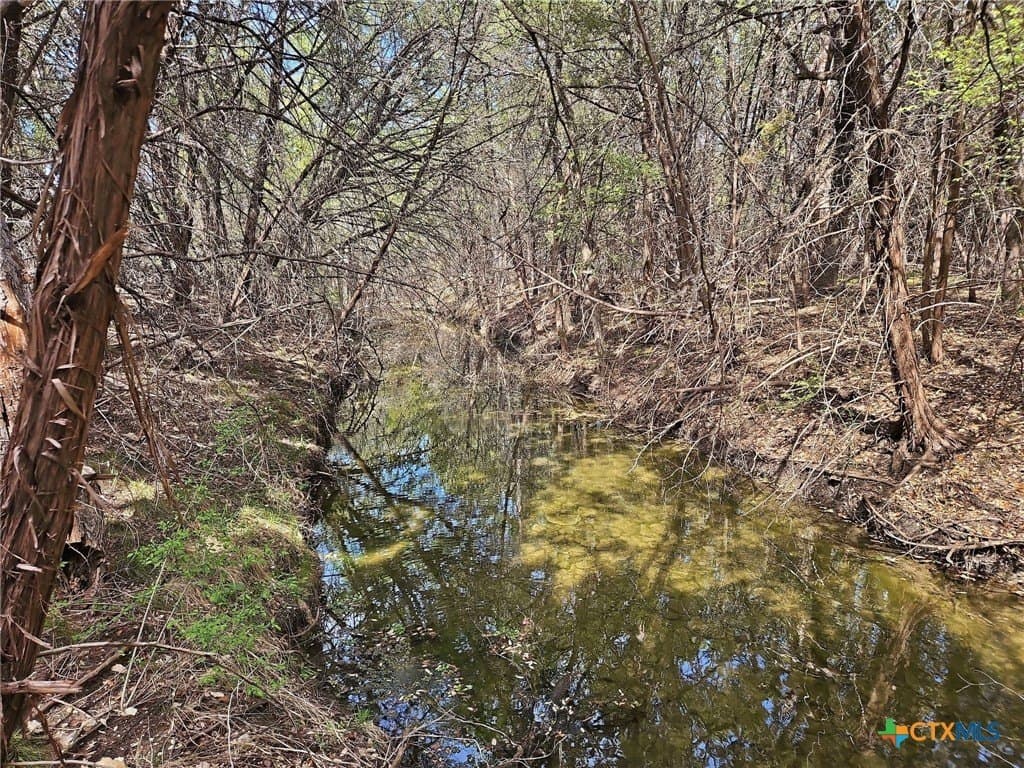 48.42 acres in Coryell County gallery image 4