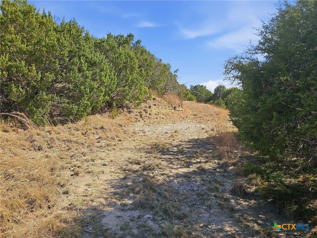 48.42 acres in Coryell County - photo 28