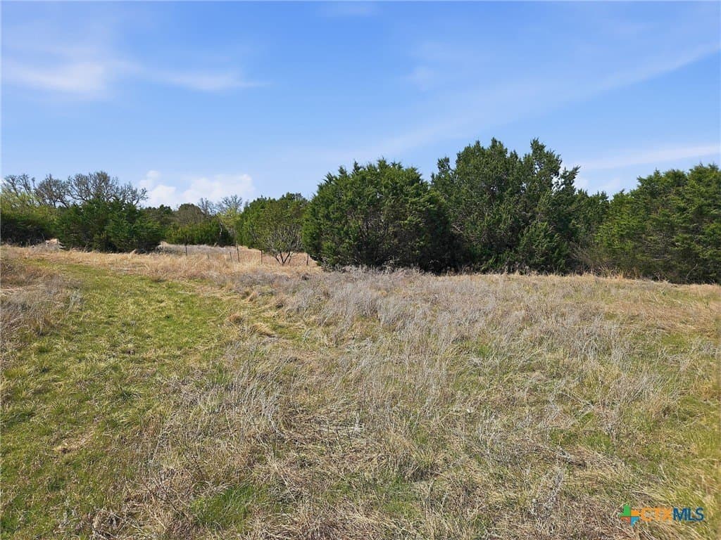 48.42 acres in Coryell County - photo 11