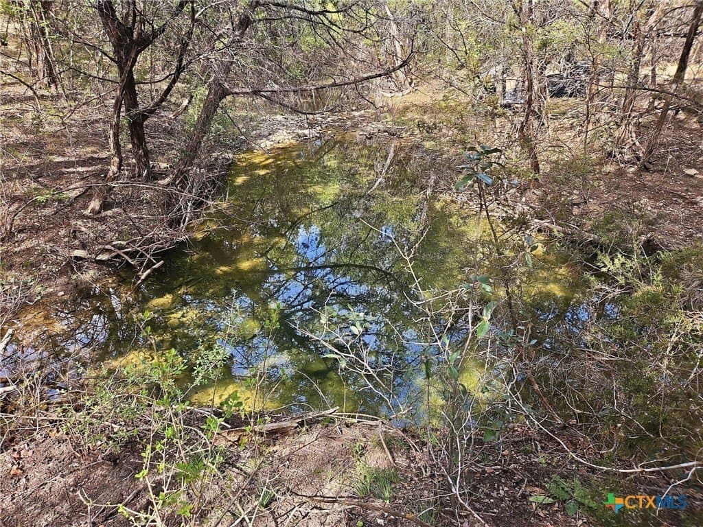 48.42 acres in Coryell County - photo 20