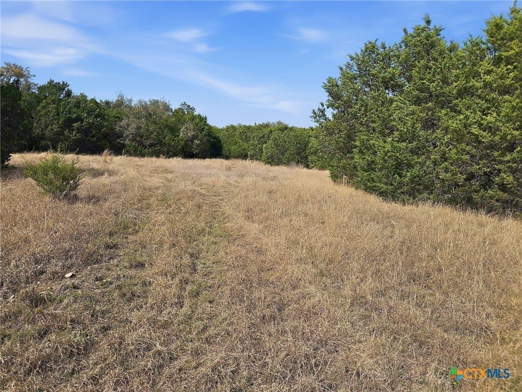 48.42 acres in Coryell County - photo 25