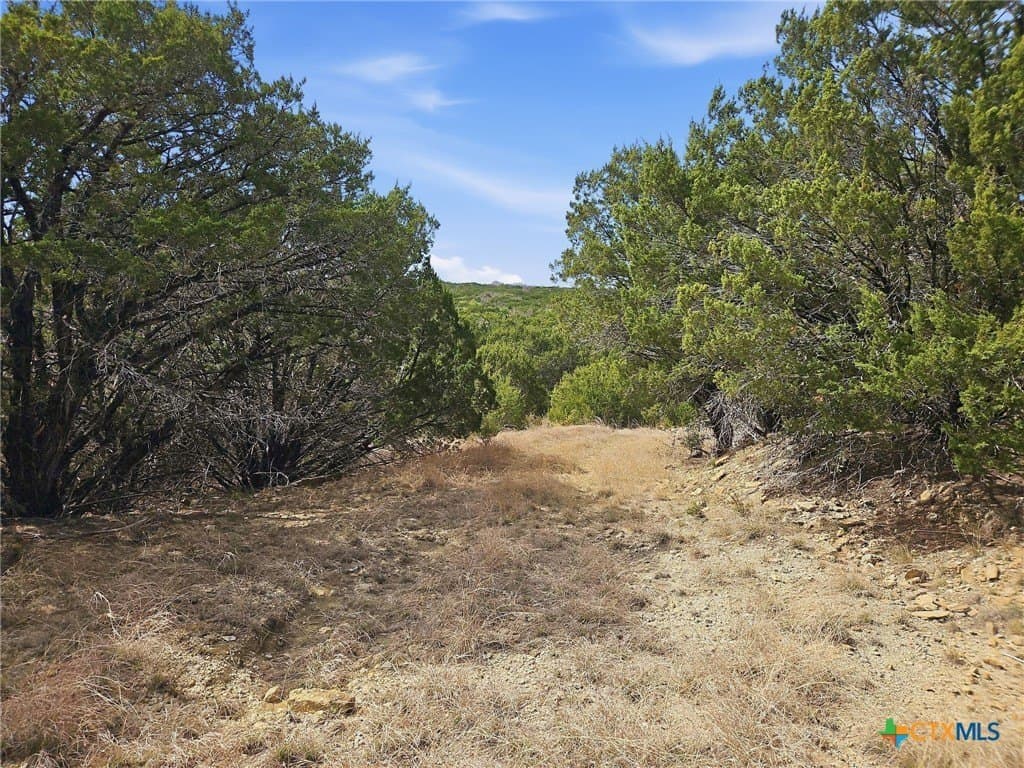 48.42 acres in Coryell County - photo 18