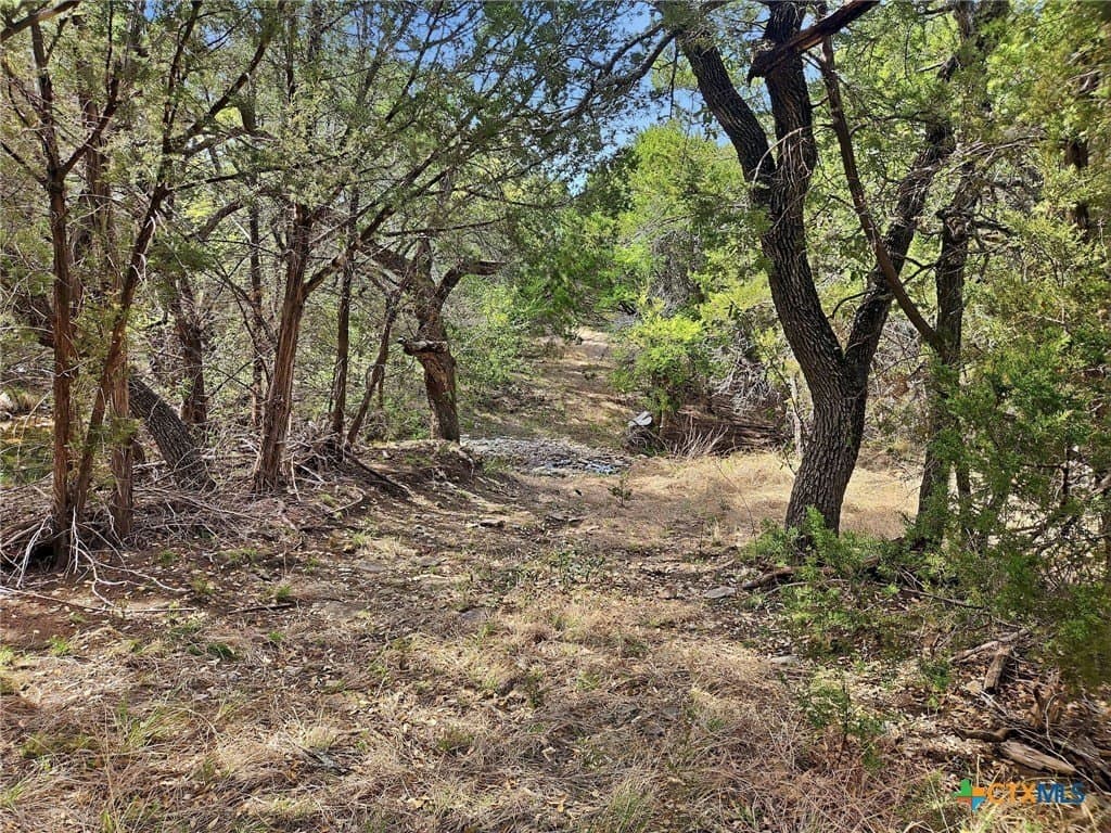 48.42 acres in Coryell County - photo 8