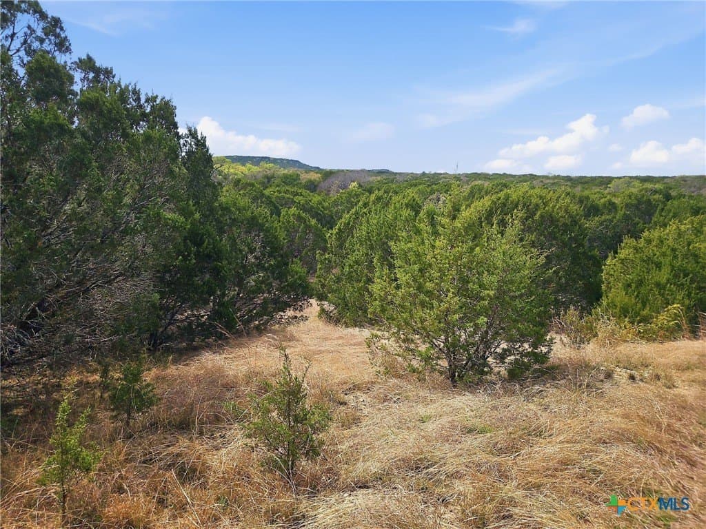48.42 acres in Coryell County - photo 21