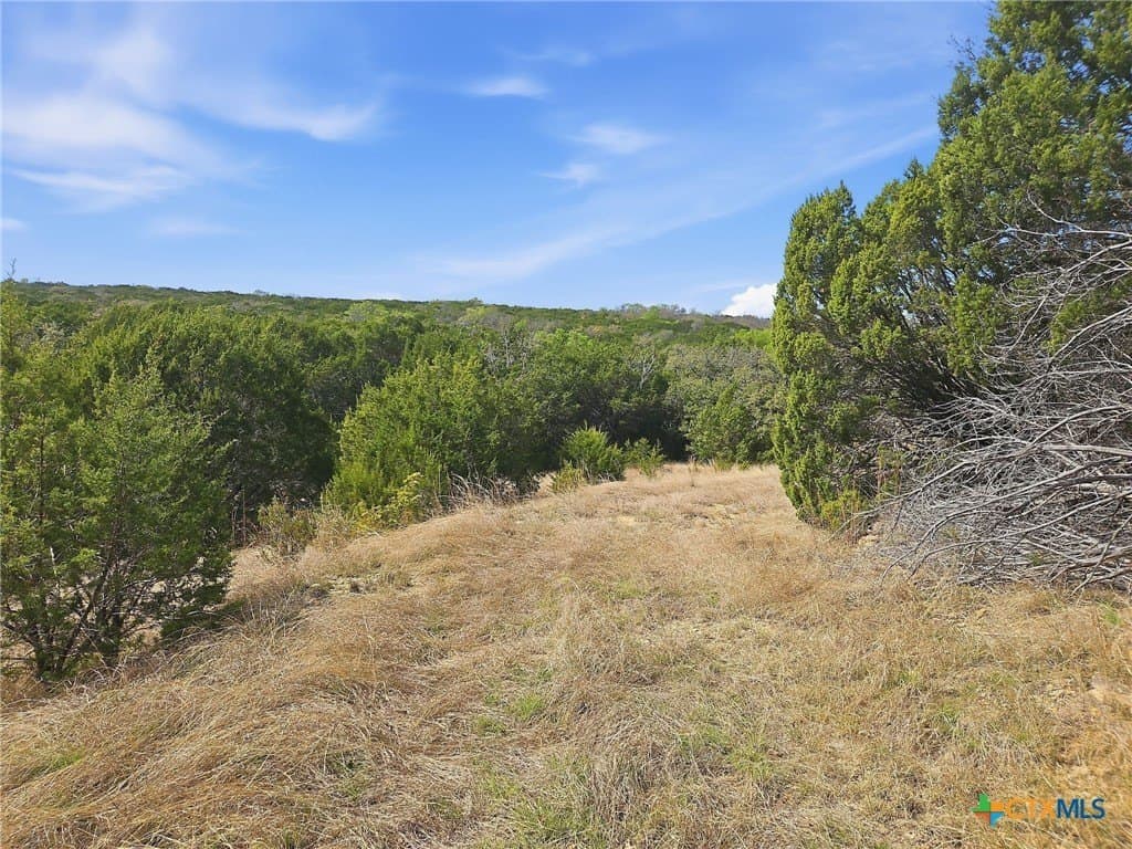 48.42 acres in Coryell County - photo 19