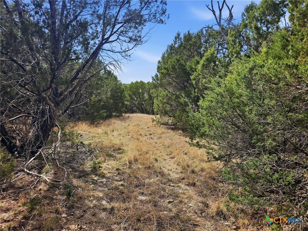 48.42 acres in Coryell County - photo 10