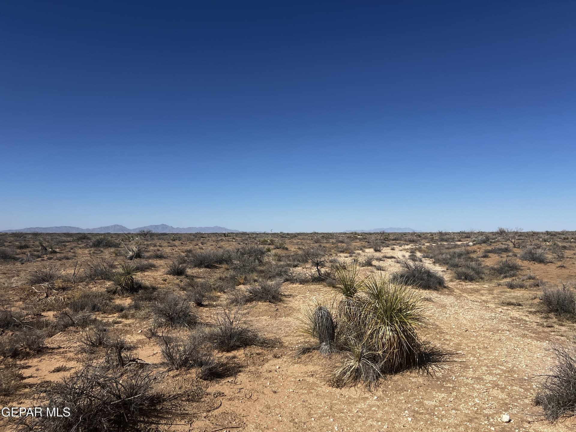 0.24 acres in El Paso County - photo 5