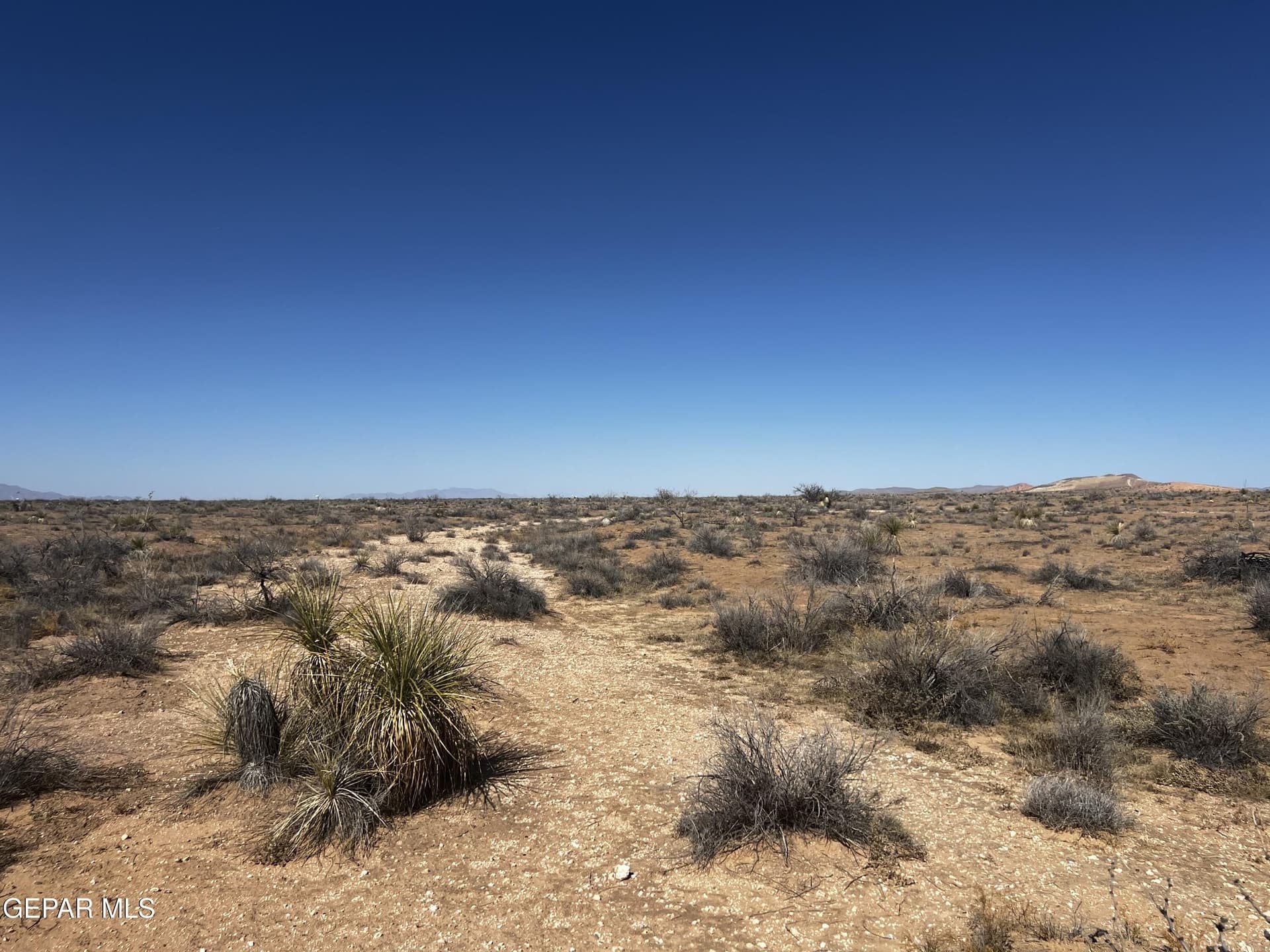 0.24 acres in El Paso County - photo 3