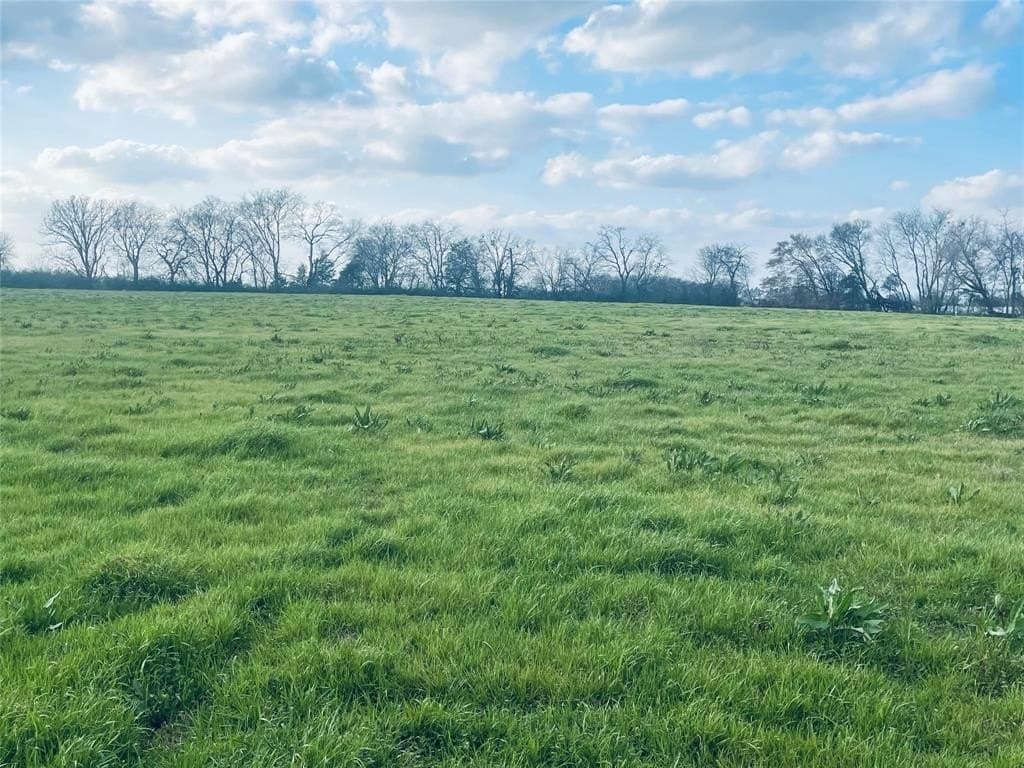 21.37 acres in Hopkins County gallery image 4