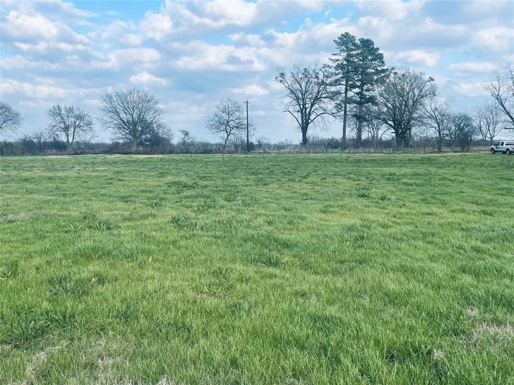 21.37 acres in Hopkins County gallery image 2