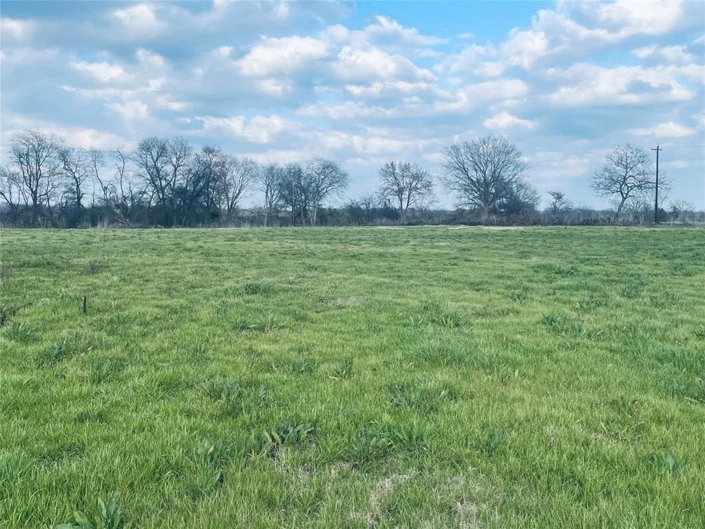 21.37 acres in Hopkins County gallery image 3