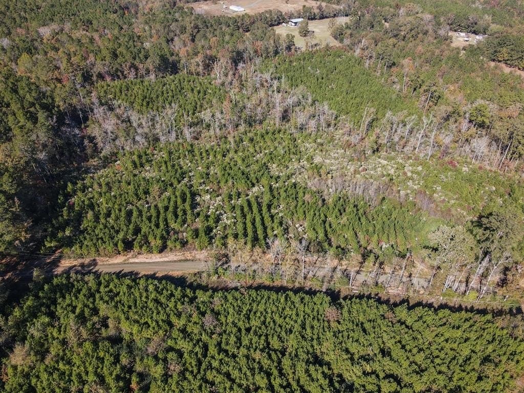 15.92 acres in Texas County