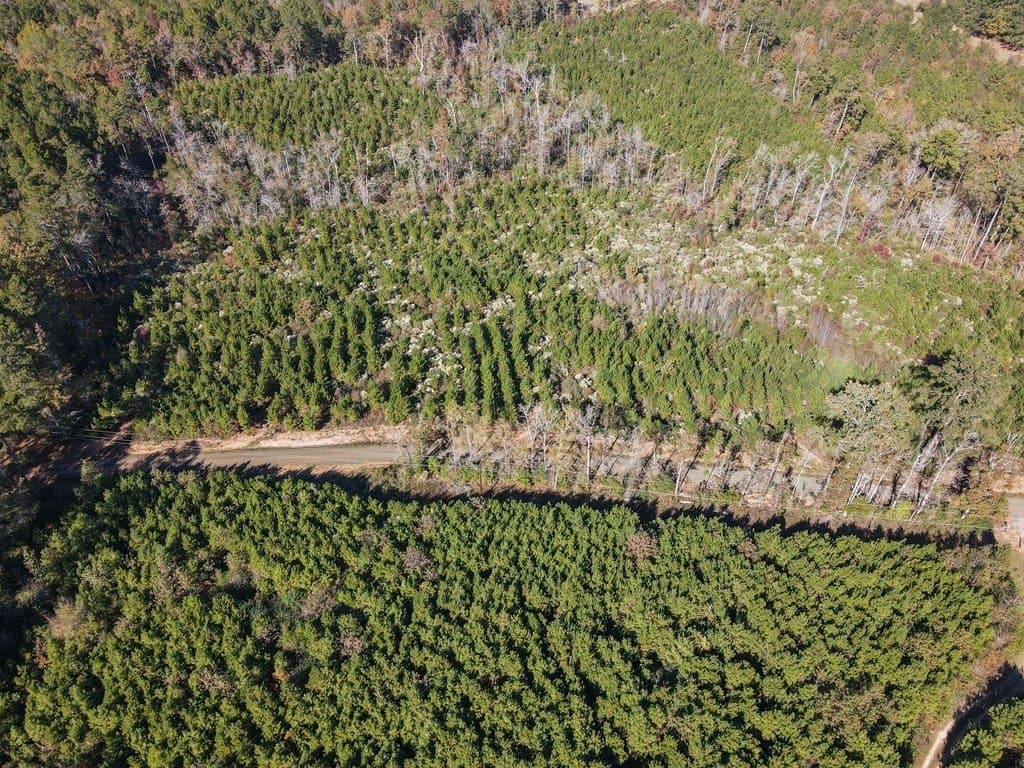 15.92 acres in Texas County gallery image 3