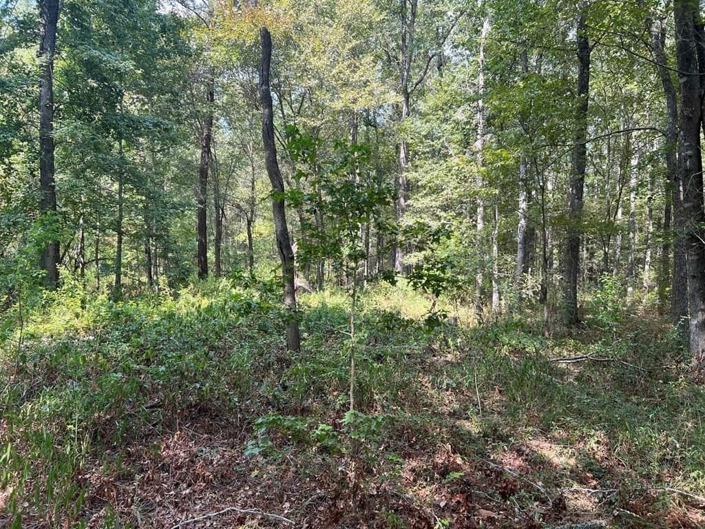 15.47 acres in ANDERSON County