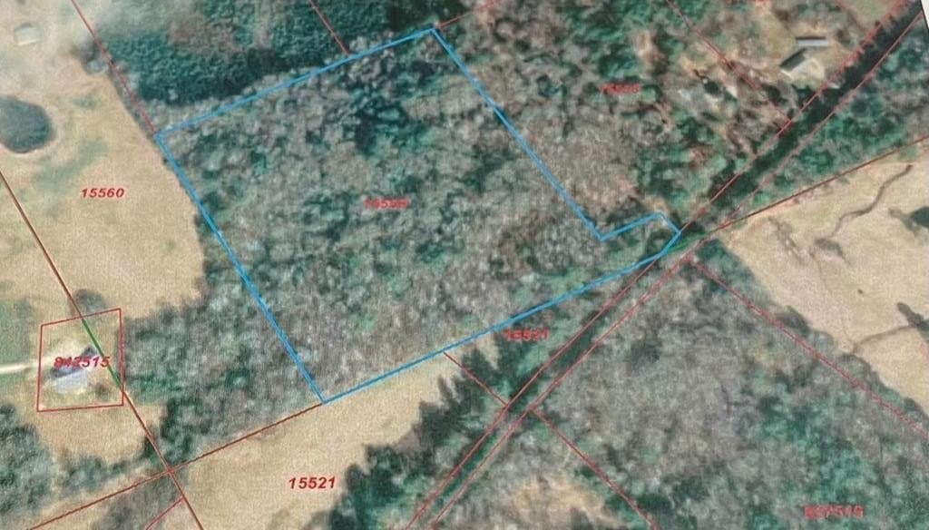 15.47 acres in ANDERSON County gallery image 2