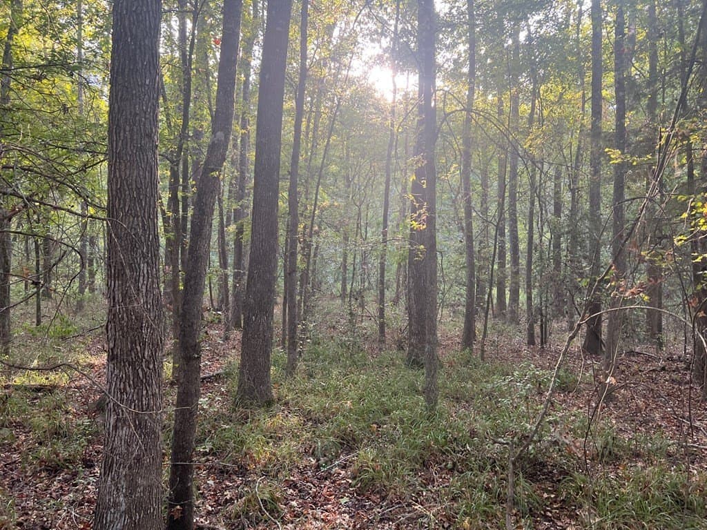 15.47 acres in ANDERSON County featured view