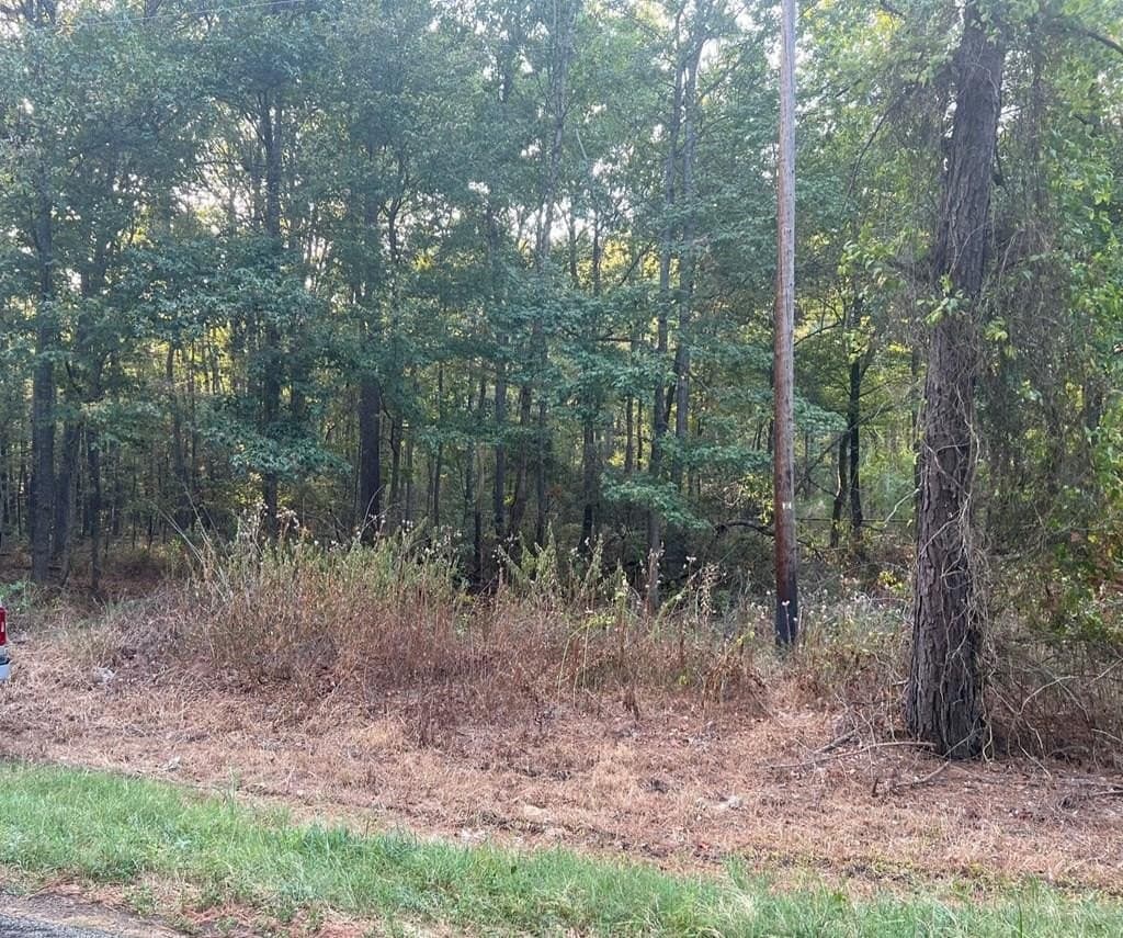 15.47 acres in ANDERSON County gallery image 3