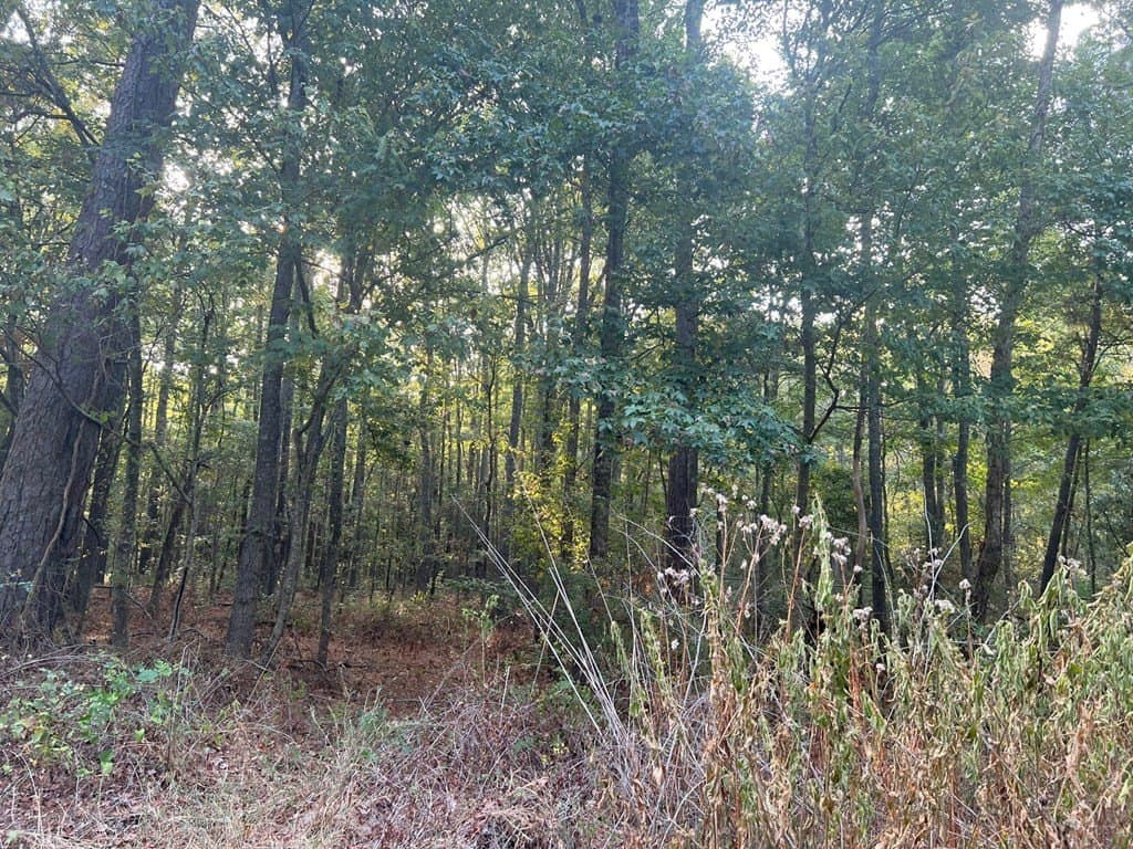 15.47 acres in ANDERSON County gallery image 4