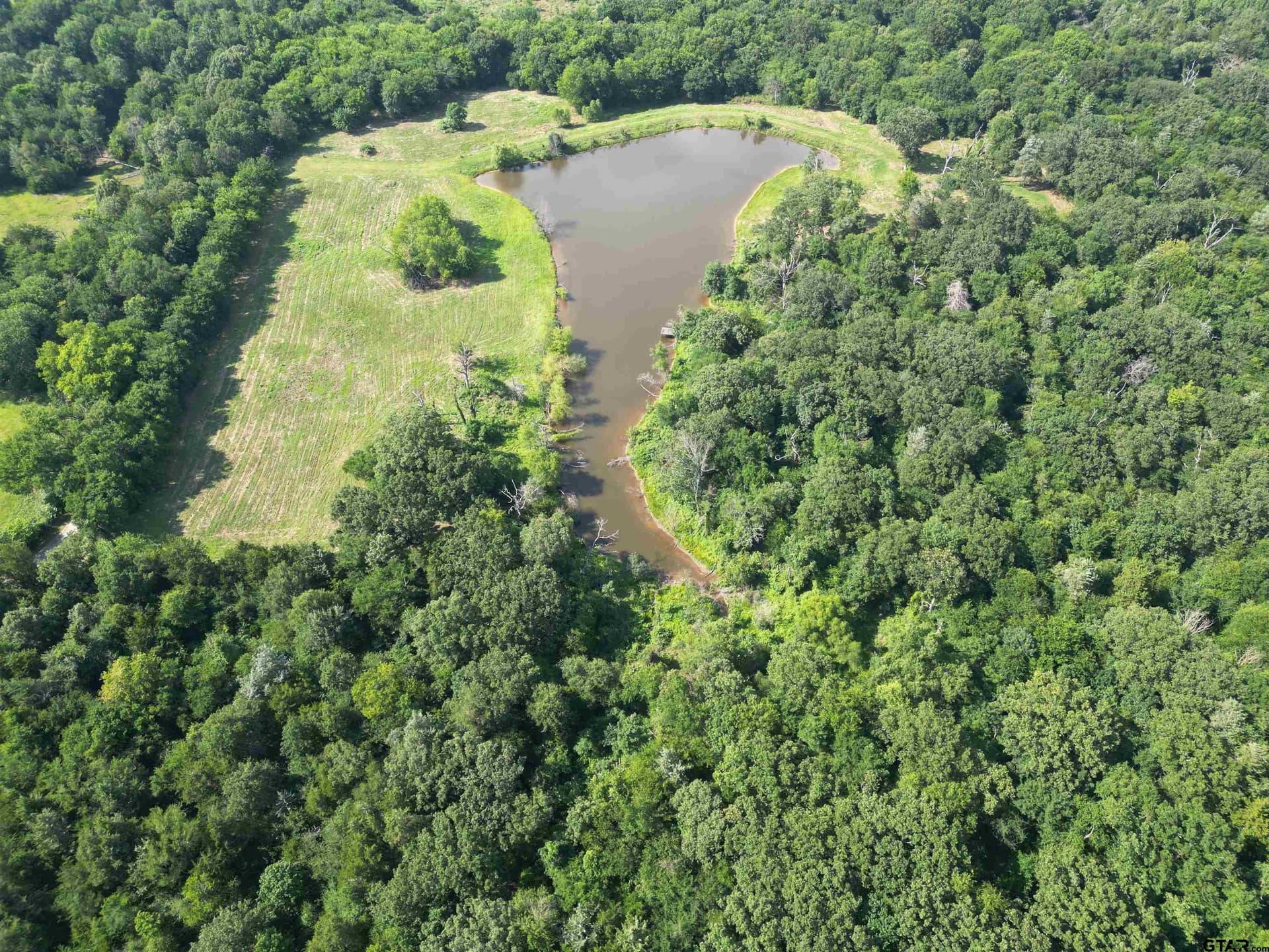 29.3 acres in Hopkins County featured view
