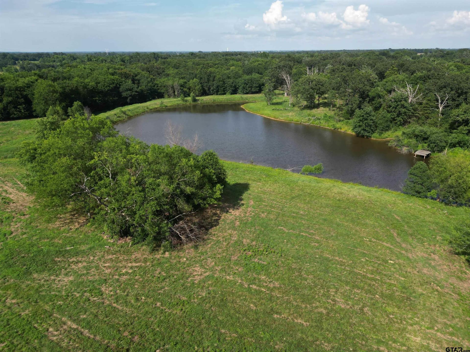 29.3 acres in Hopkins County gallery image 3