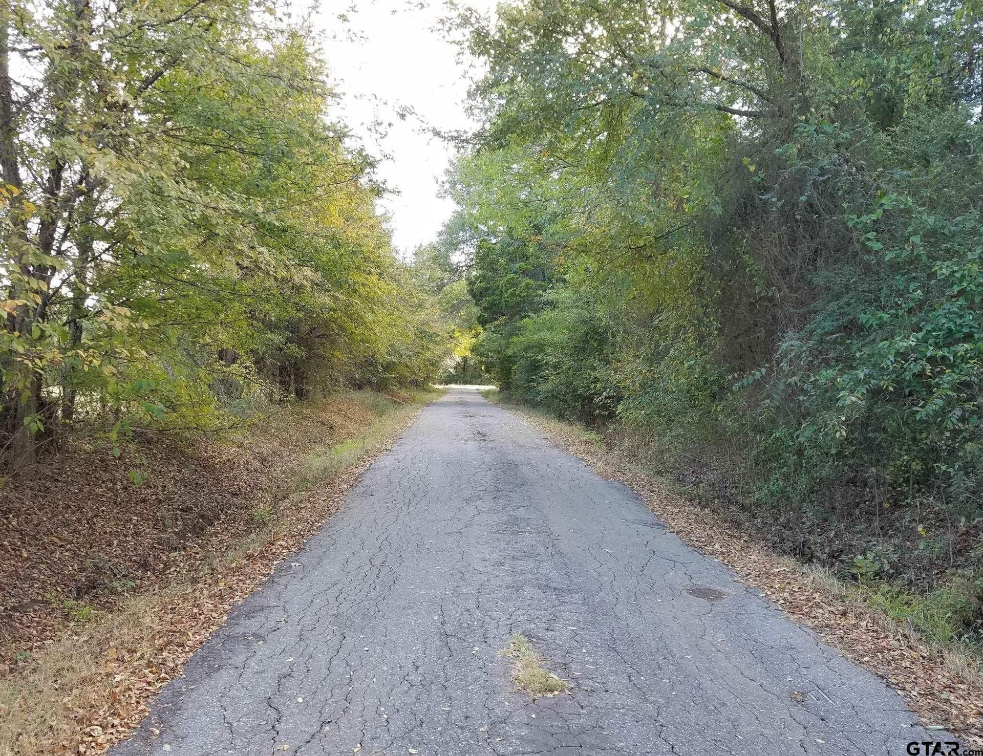 29.3 acres in Hopkins County - photo 21